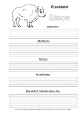 Bison-Steckbriefvorlage-sw.pdf